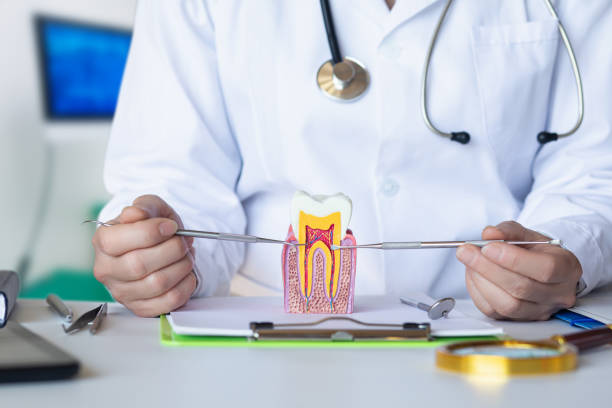 Best Emergency Broken Tooth Repair in Wilkshire Hills, OH
